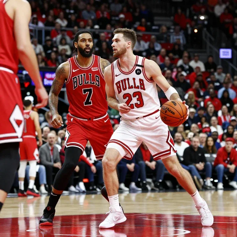 chicago bulls