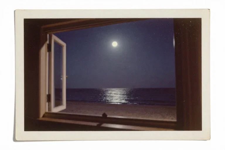 starry sky window moon sea 1950s photo