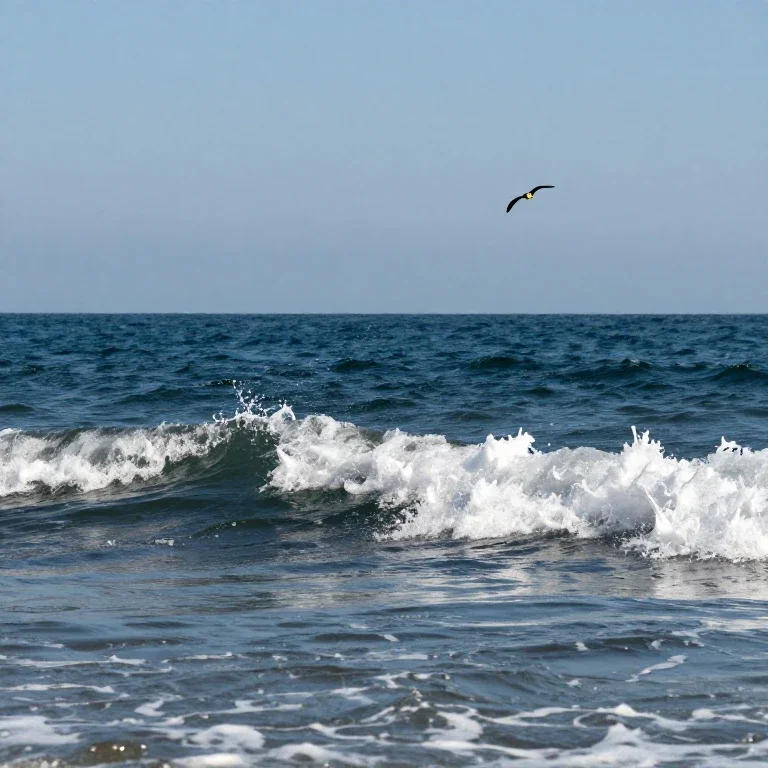 sea