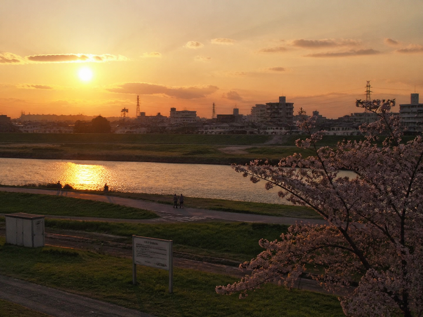 futako tamagawa spring sunset evening