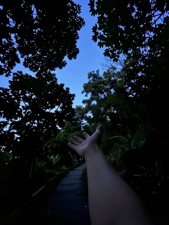 Image #bdzle6co0ch7